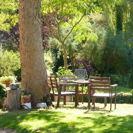 Domaine De Joreau Gennes-Val-de-Loire Eksteriør billede
