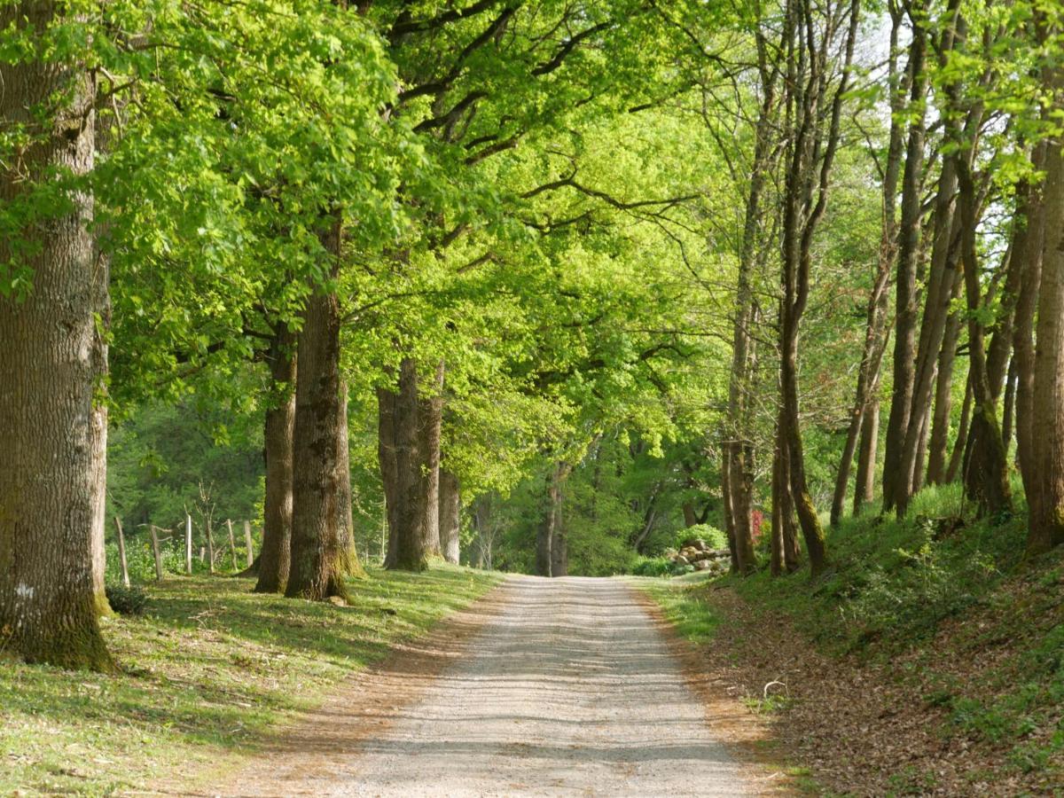 Domaine De Joreau Gennes-Val-de-Loire Eksteriør billede