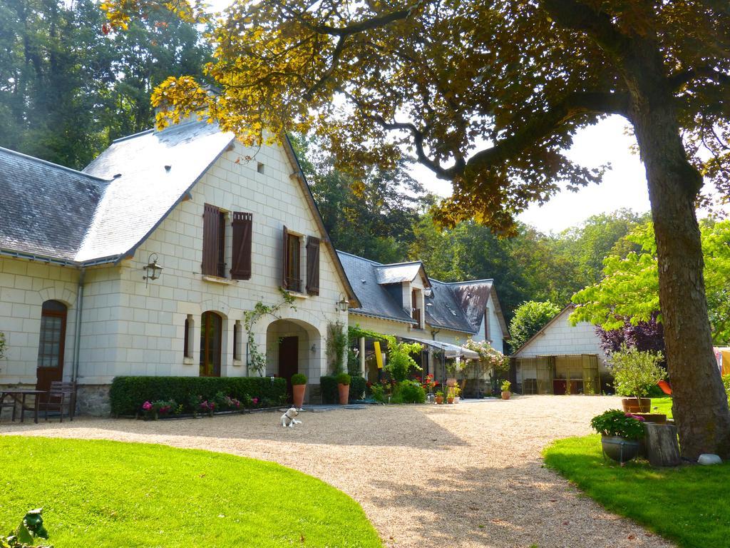 Domaine De Joreau Gennes-Val-de-Loire Eksteriør billede